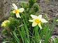 2008-0315_1150_Garden_13.8_C